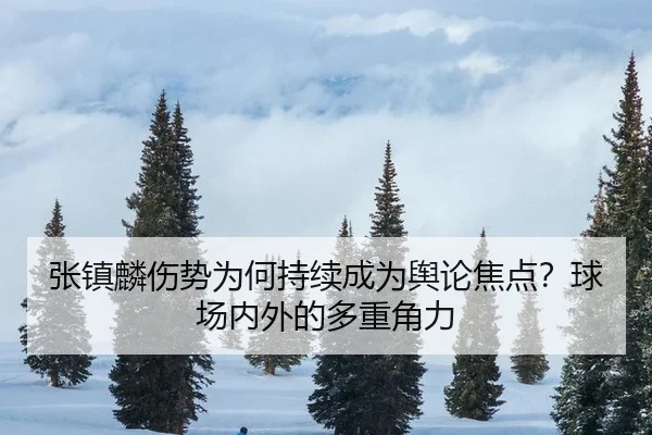 张镇麟伤势为何持续成为舆论焦点？球场内外的多重角力
